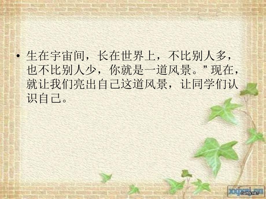 《这就是我》作文教案课件_第1页