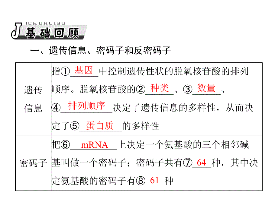 生物2013年高考复习课件：必修2_第4章_第1、2节_基因指导蛋白质的合成、基因对性状的控制_第4页