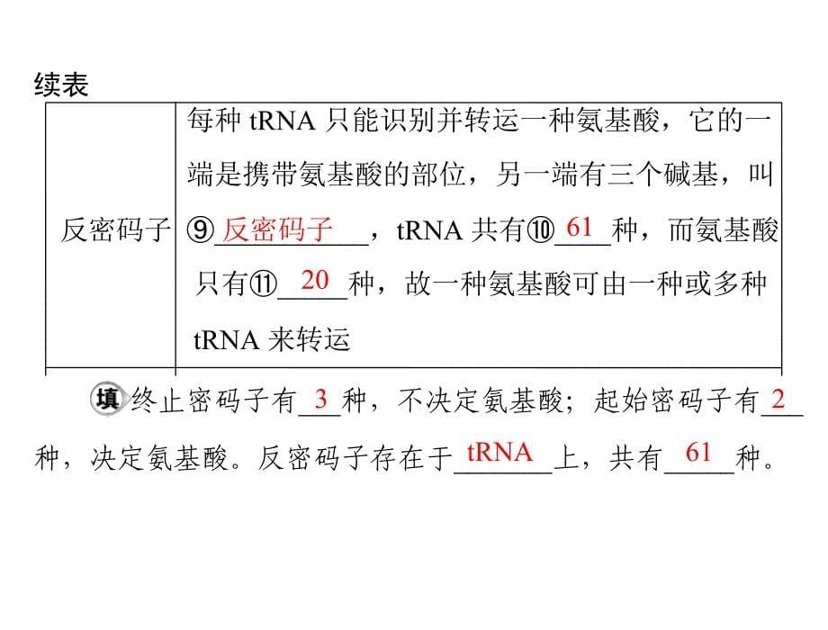 生物2013年高考复习课件：必修2_第4章_第1、2节_基因指导蛋白质的合成、基因对性状的控制_第5页