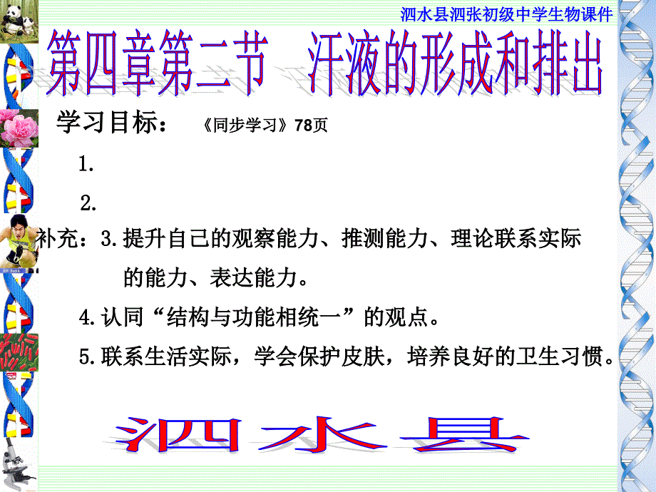 汗液的形成和排出_第2页