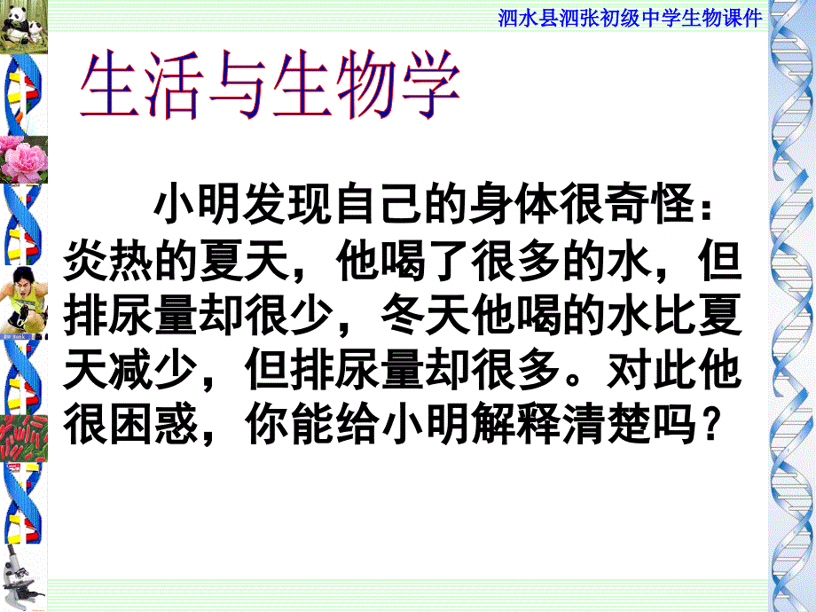 汗液的形成和排出_第3页