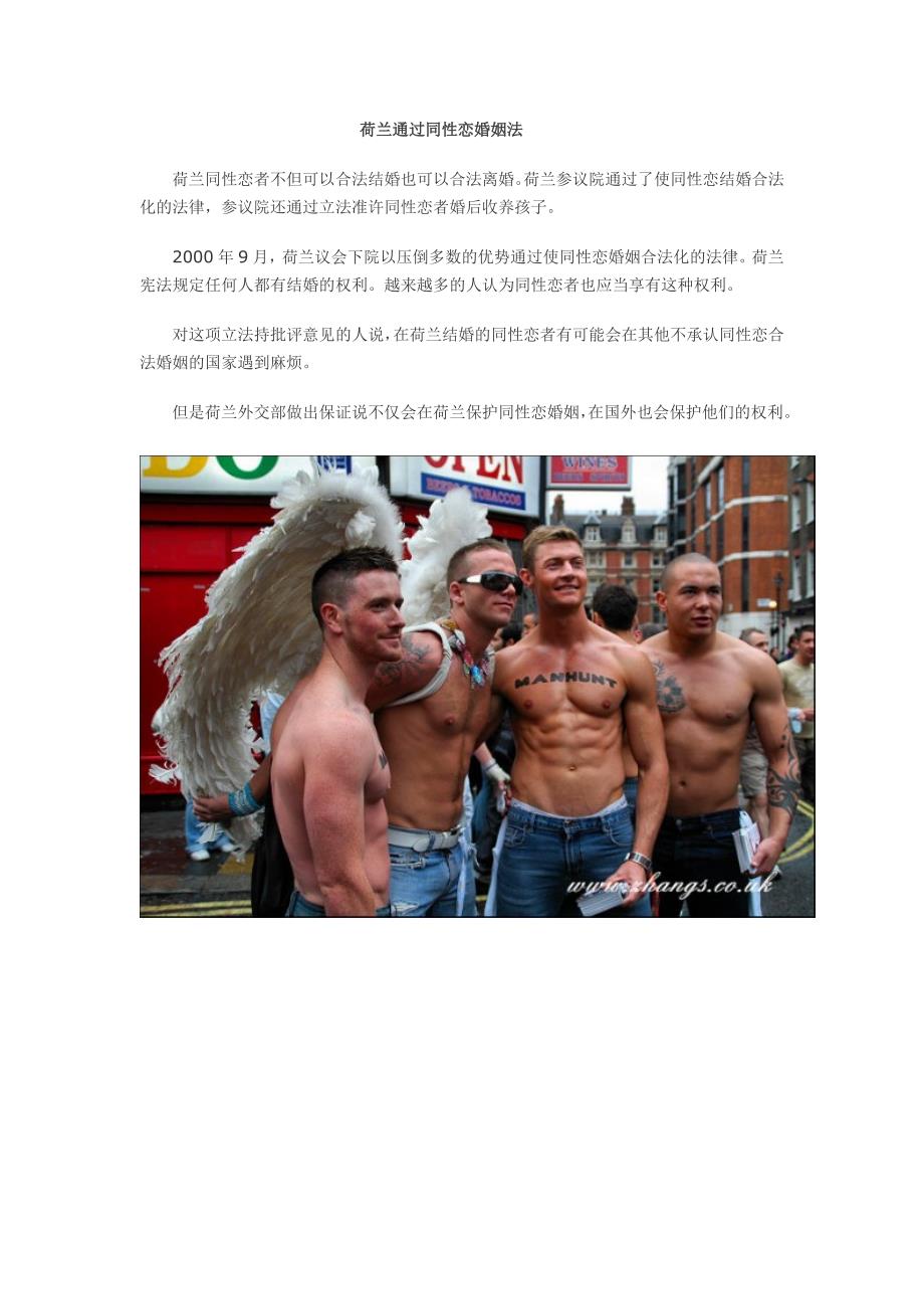 荷兰人对于同性恋的态度_第1页