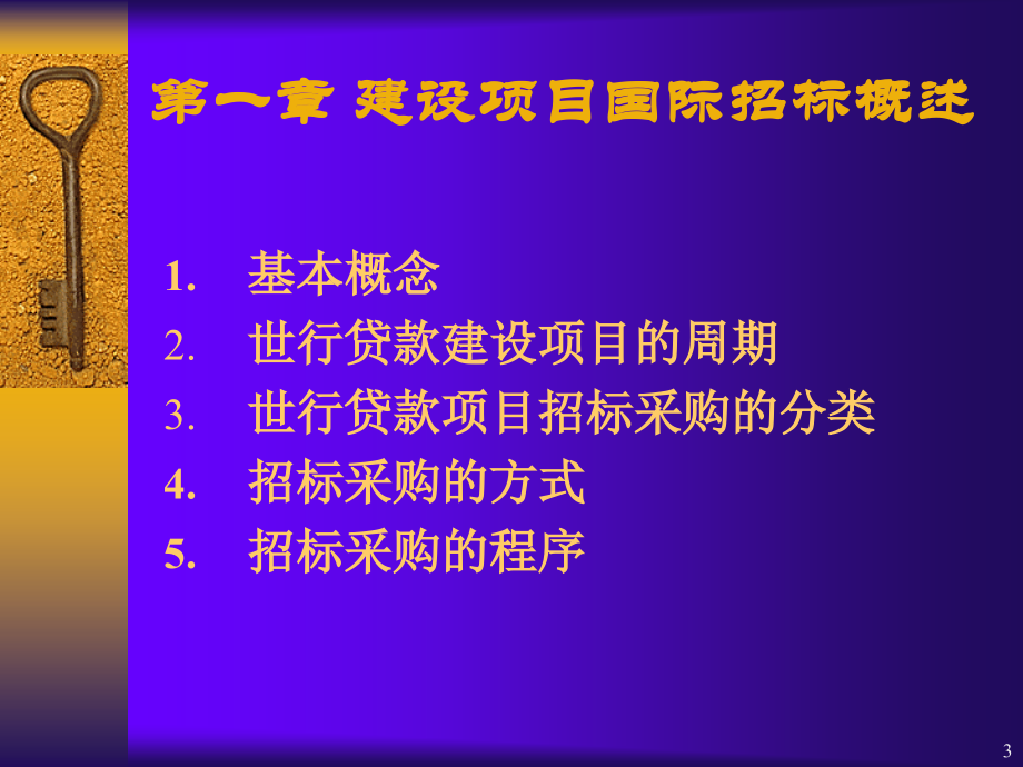 建设项目国际招标的程序_第3页