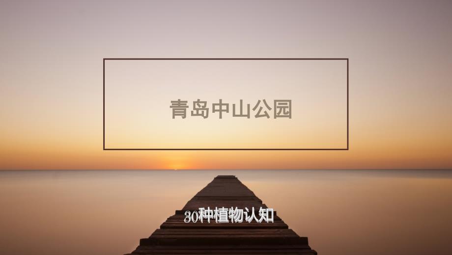 青岛中山公园植物_第1页