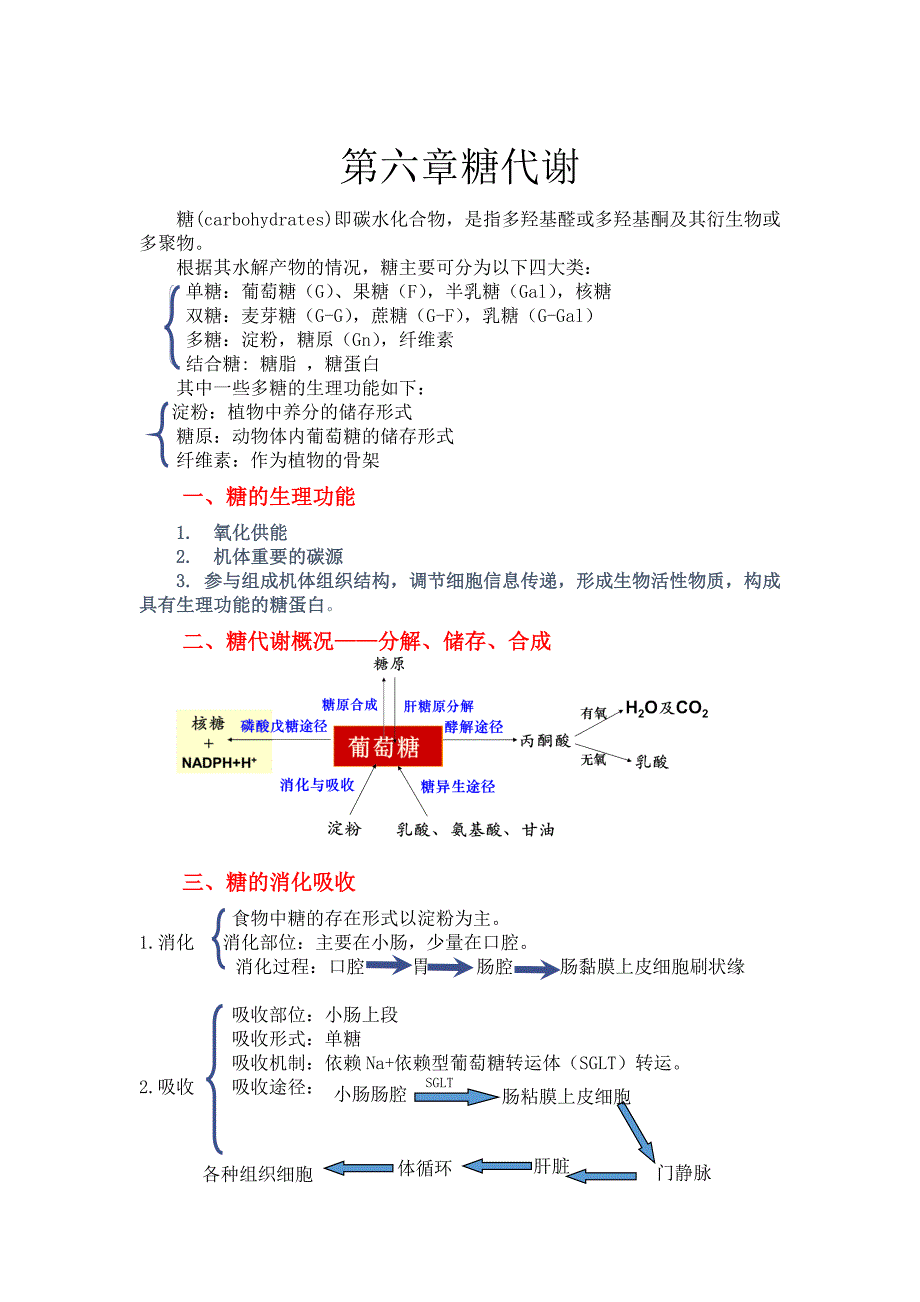 生物化学糖代谢知识点总结_第1页