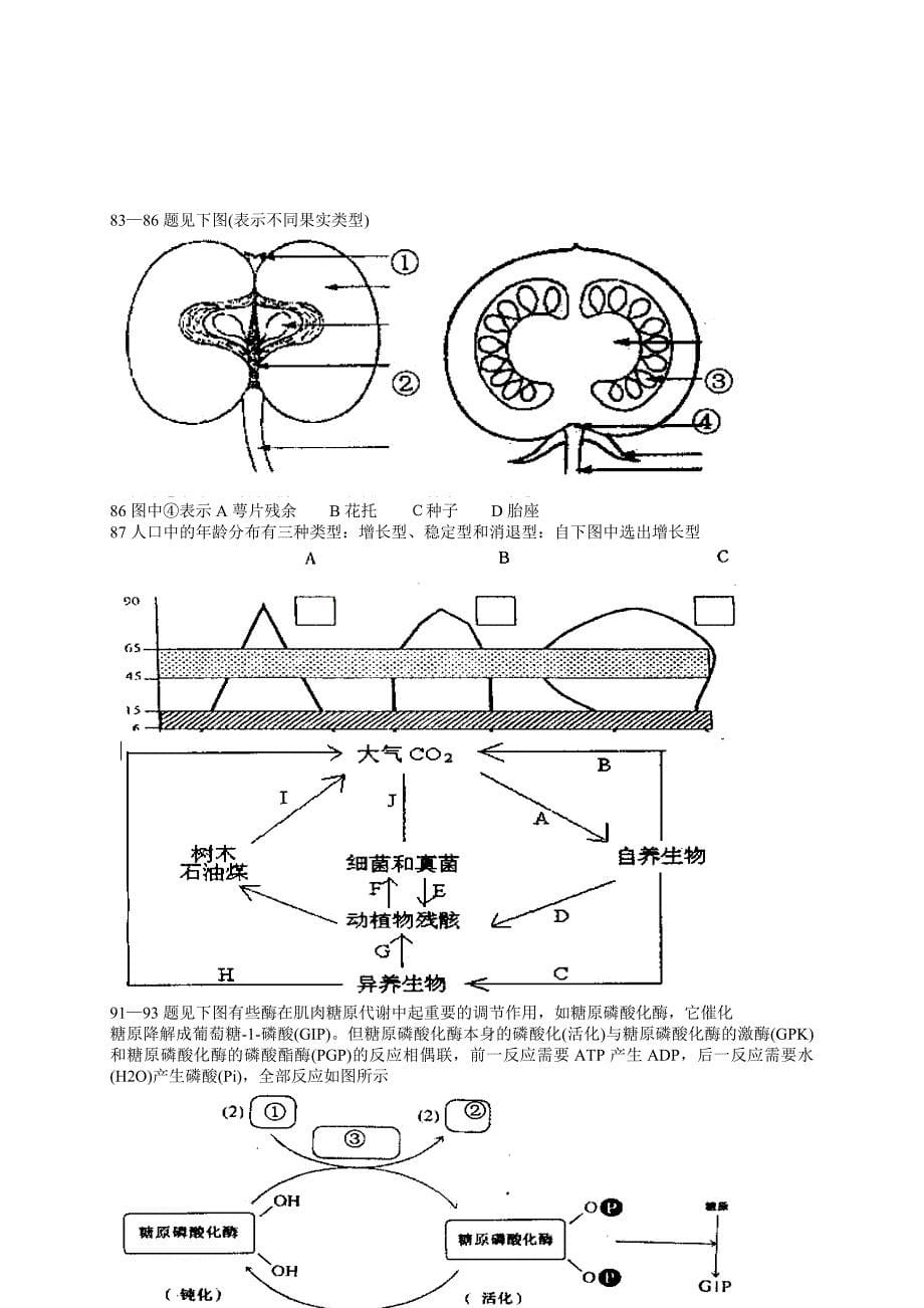 2004年全国中学生生物竞赛_第5页