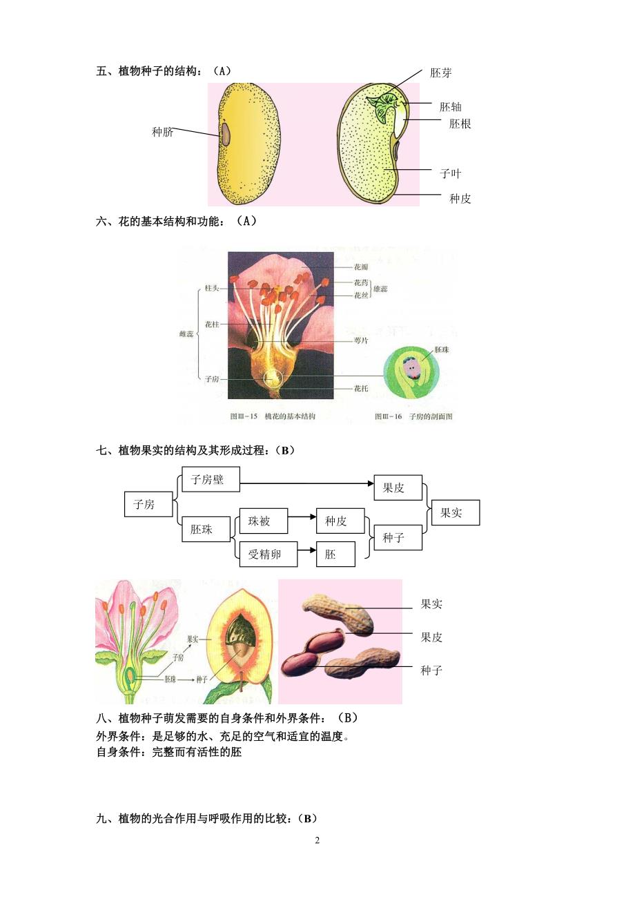 生物七年级复习提纲_第2页