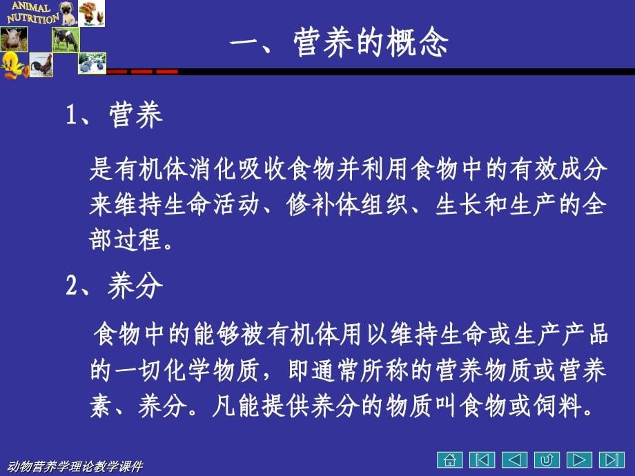 动物营养学绪   论_第5页