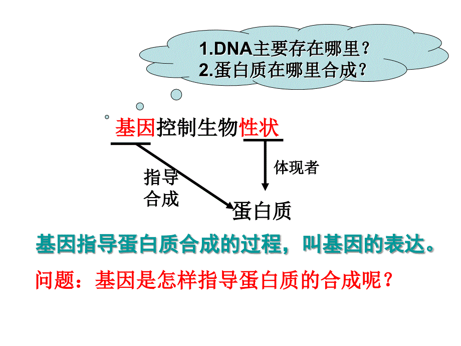 基因指导蛋白质的合成讲课_第2页
