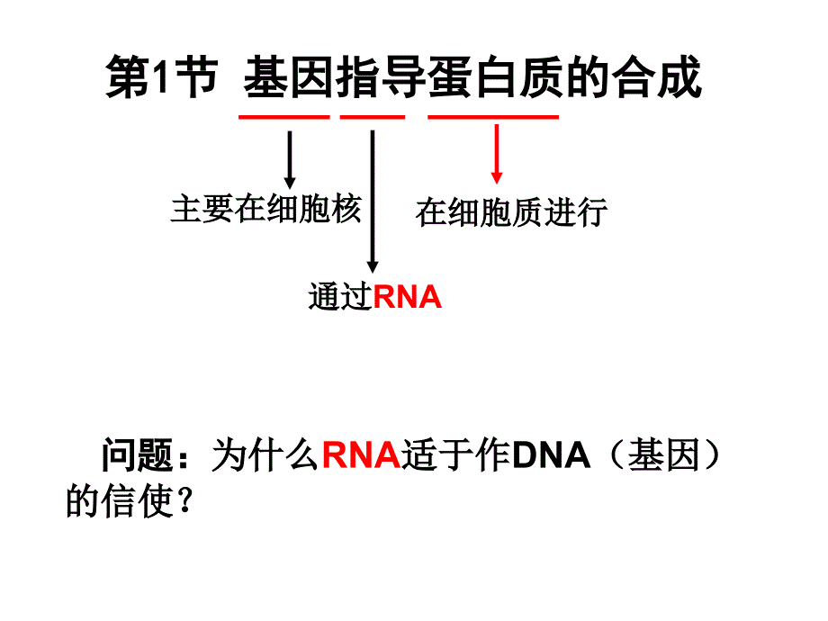 基因指导蛋白质的合成讲课_第3页