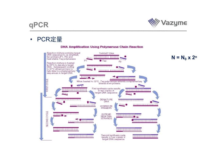 Vazyme荧光定量PCR(qPCR)技术座资料_第5页