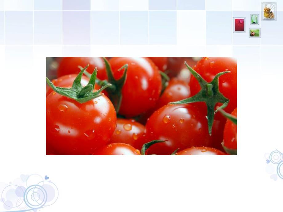 款西红柿减肥食谱 一周就能见效_第2页