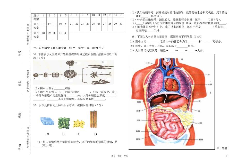 七年级生物下册 期中考试试卷 苏科版_第3页