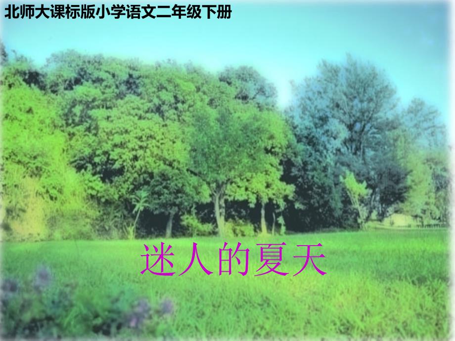 北师大版小学二年级下册语文《迷人的夏天》课件PPT_第1页