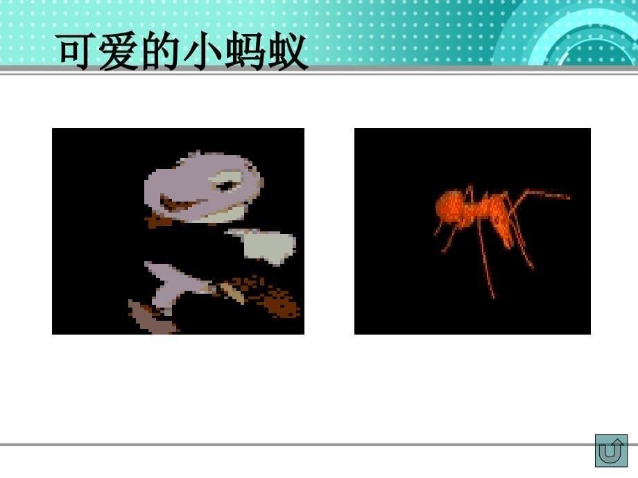 北师大版小学二年级上册语文《上天的蚂蚁》优秀课件PPT_第5页