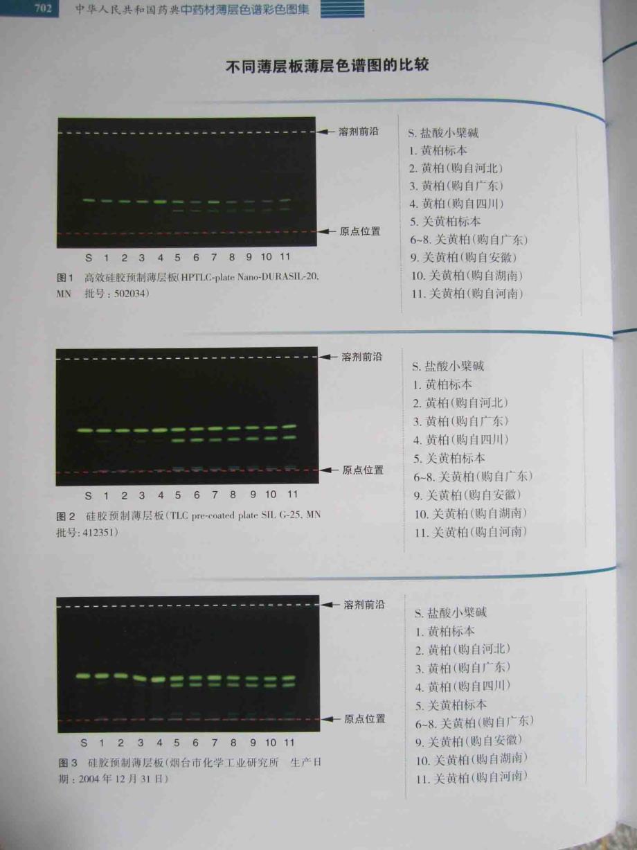 黄柏薄层鉴别图_第2页