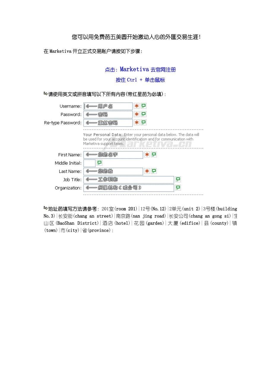 黄金外汇投资计划书_第5页