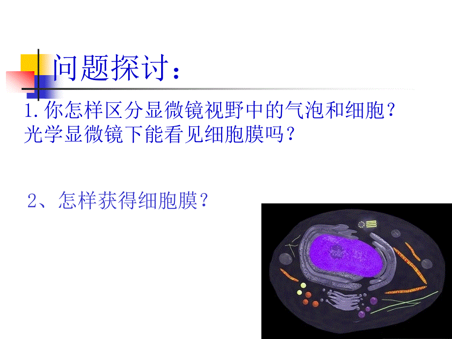 ((人教版))[[高一生物课件]]高一生物《细胞膜--系统的边界》PPT课件_第3页