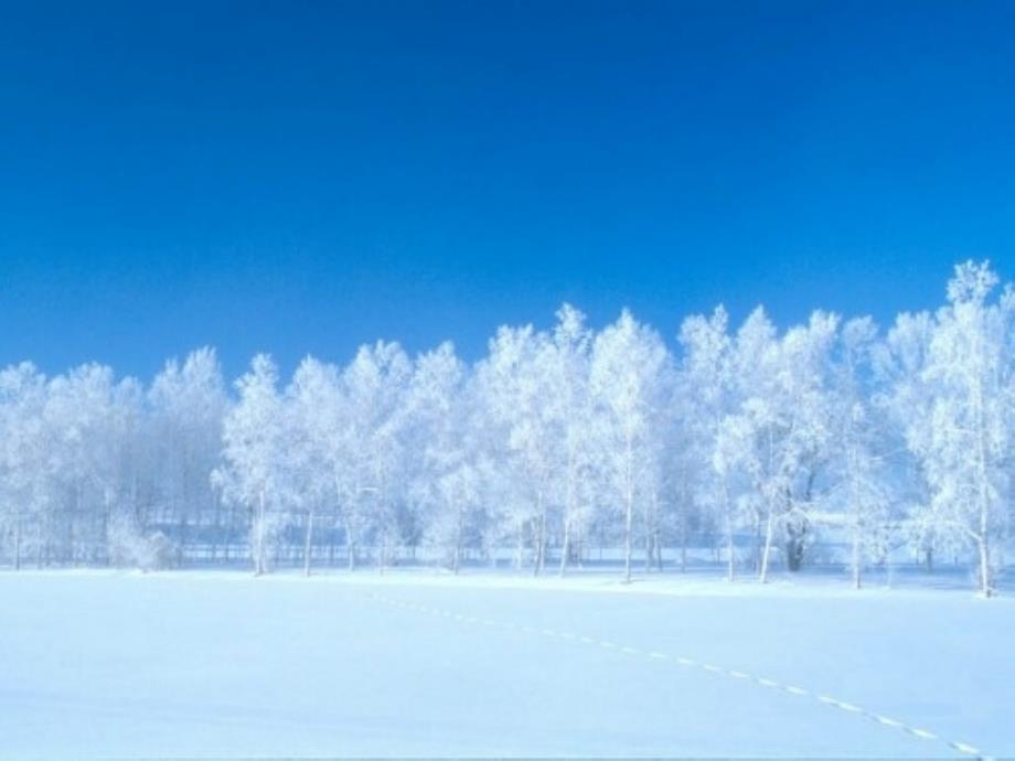 人教版小学语文一年级上册《雪地里的小画家》PPT课件_新_第1页