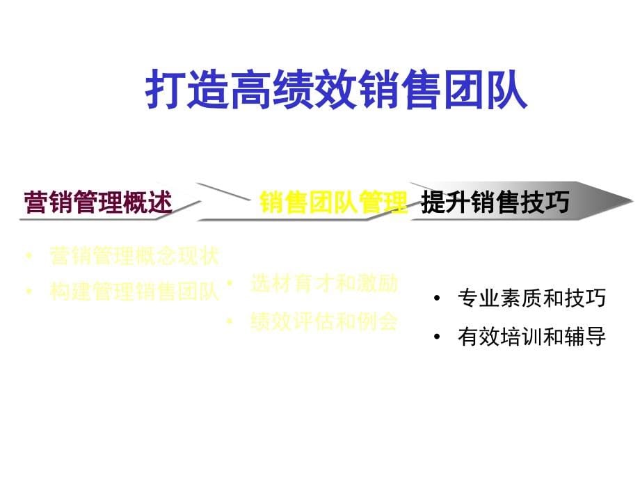 经典实用有价值的企业管理培训课件建立高绩效销售团队_第5页