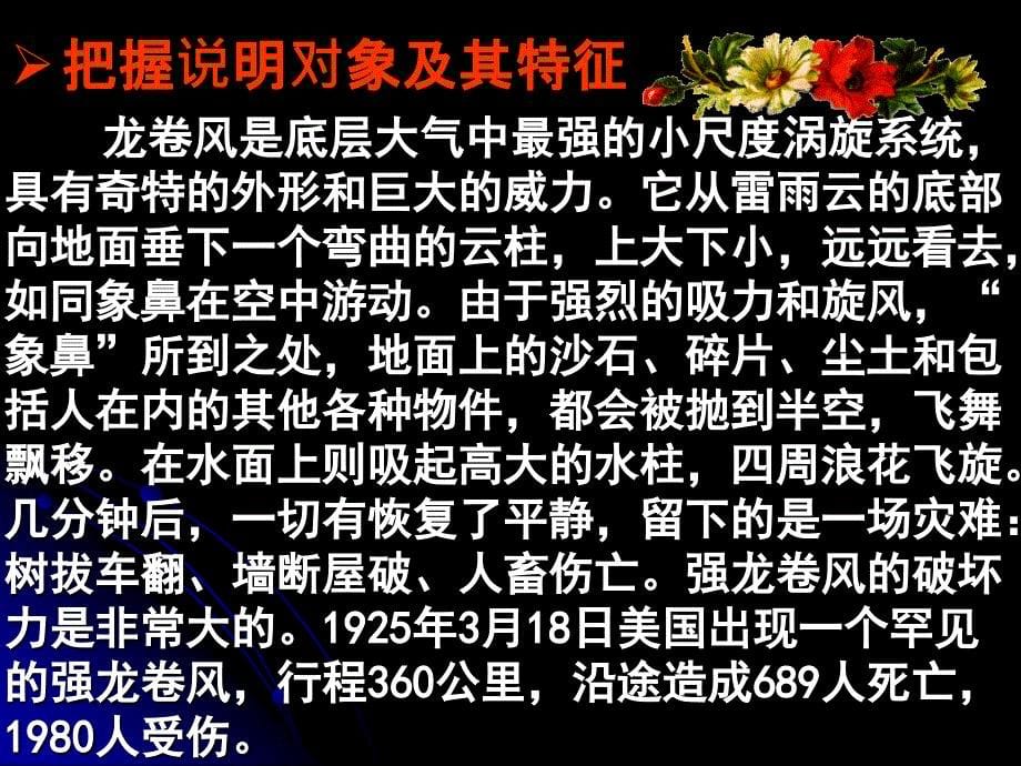 初中语文总复习用课件_第5页