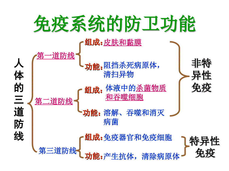 (分子生物学本科生课件)抗原抗体主要组织相容性抗原_第3页