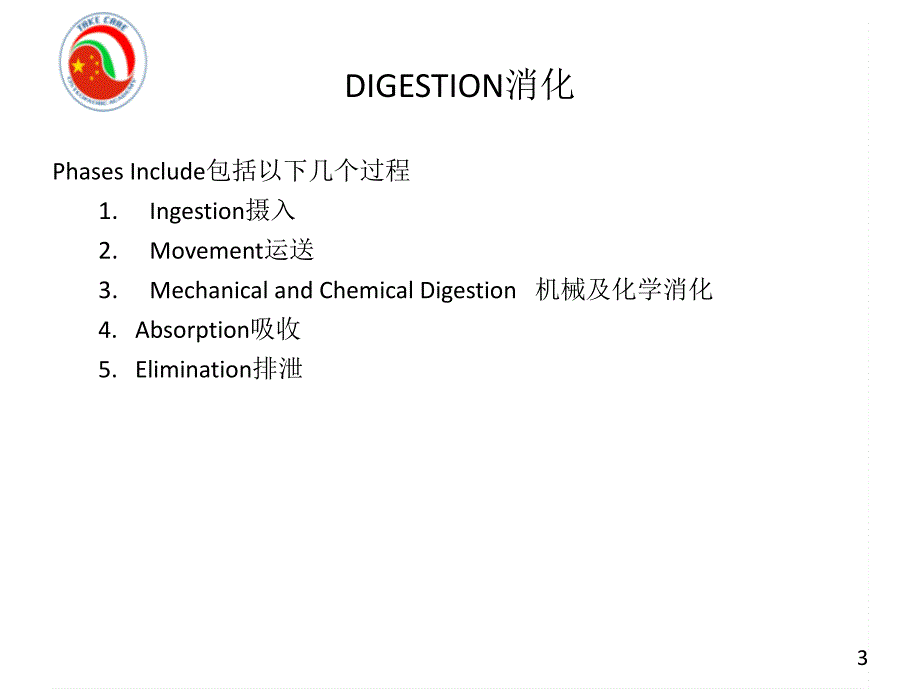 (意大利整骨）内脏中英文_第3页