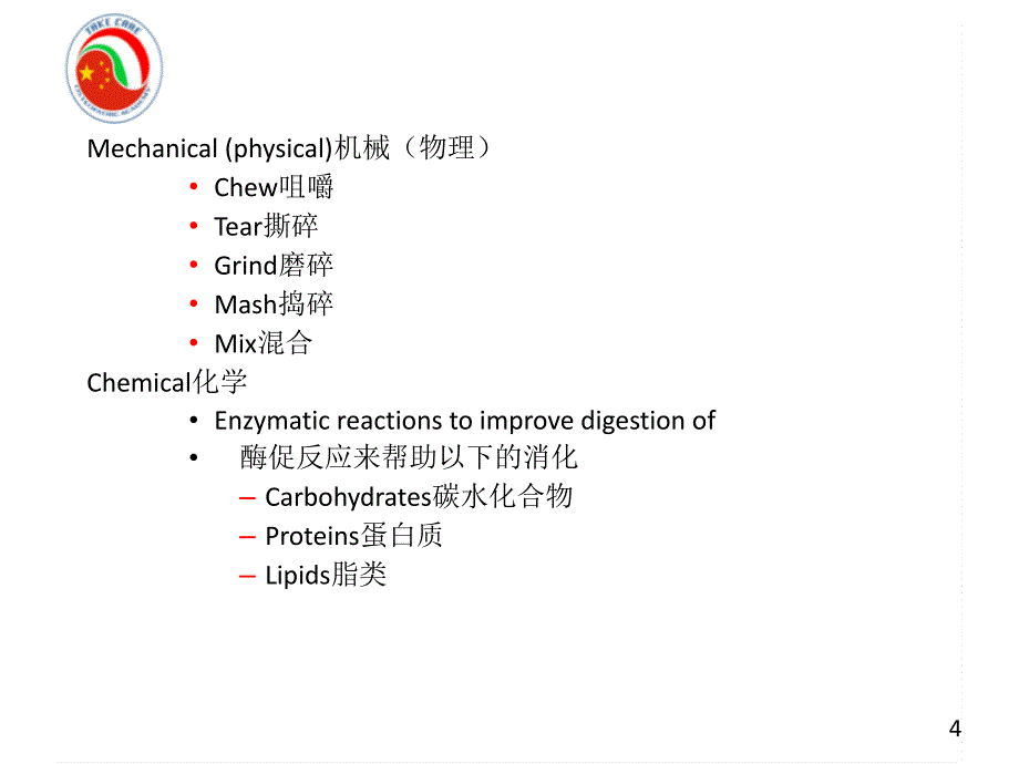 (意大利整骨）内脏中英文_第4页