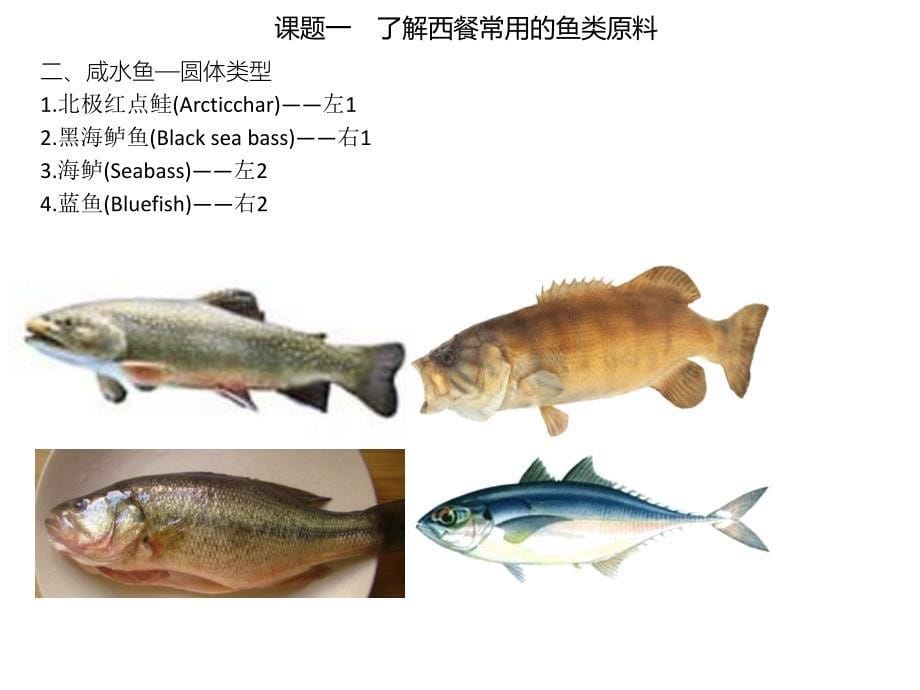 (西餐原料知识)模块七 认识西餐中的鱼类和贝壳类原料_第5页