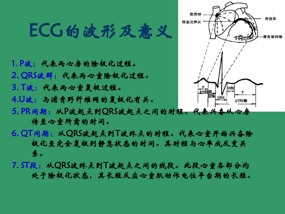 (医实医检生理)体表心电图_第3页