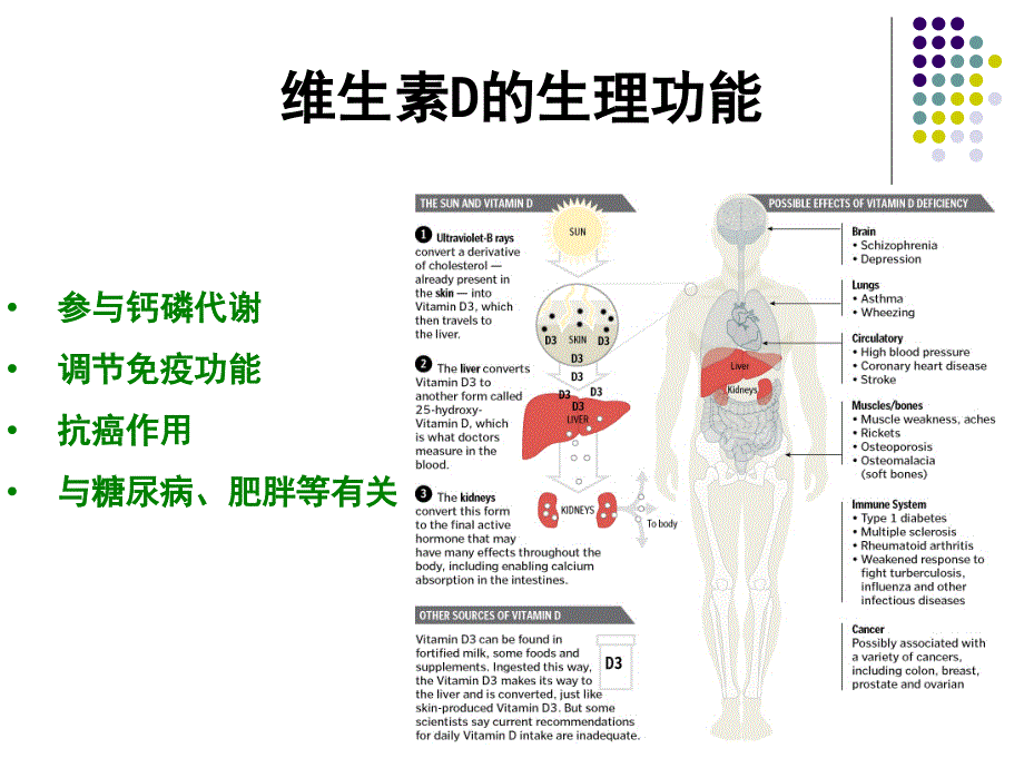 (儿童保健学)VitD的营养_第3页