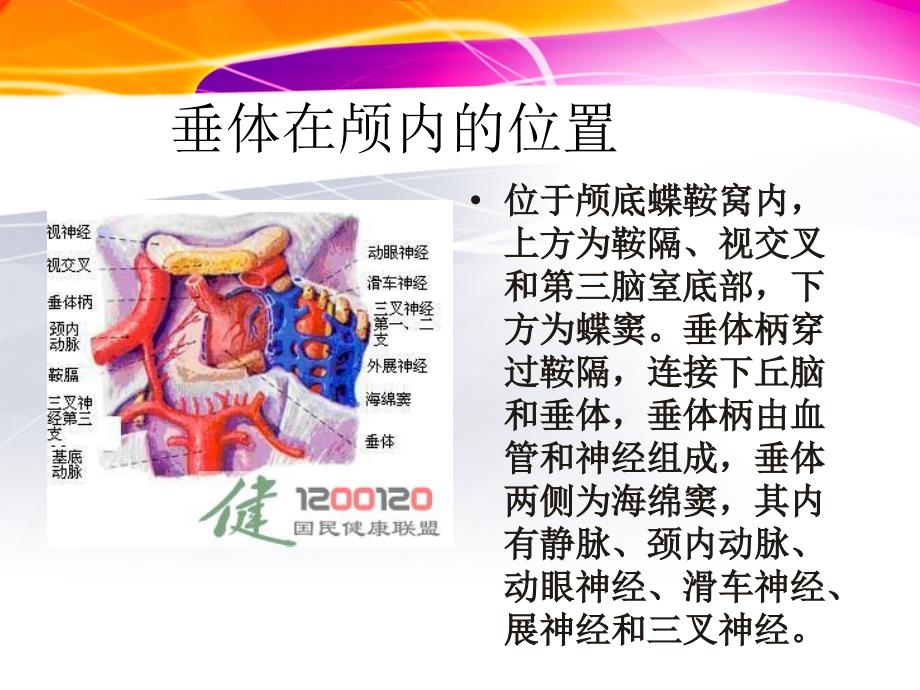 垂体瘤ppt1_第2页