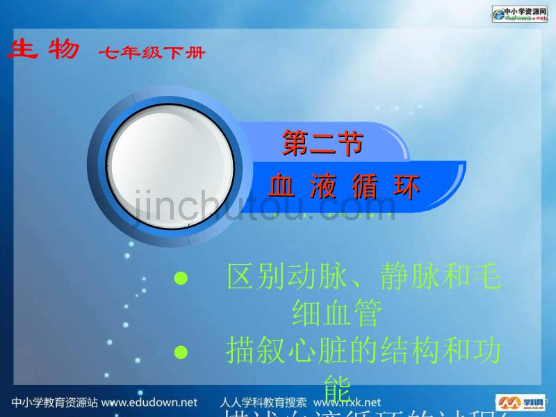 《物质运输器官》ppt_第2页