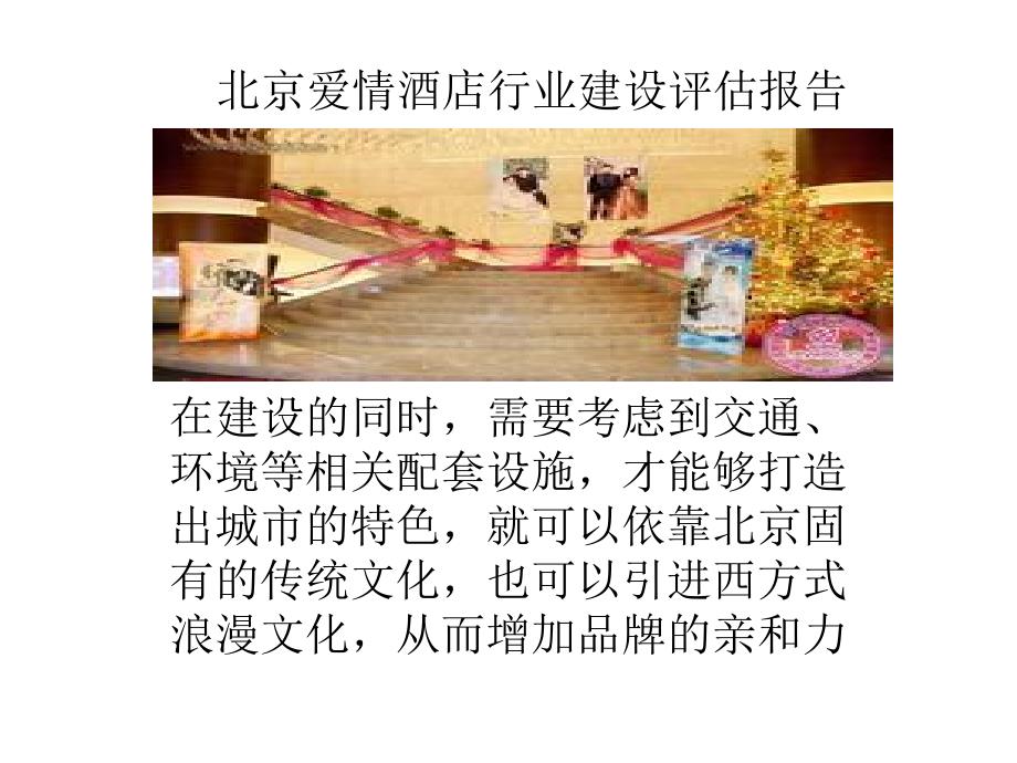 北京爱情酒店行业建设评估报告_第3页
