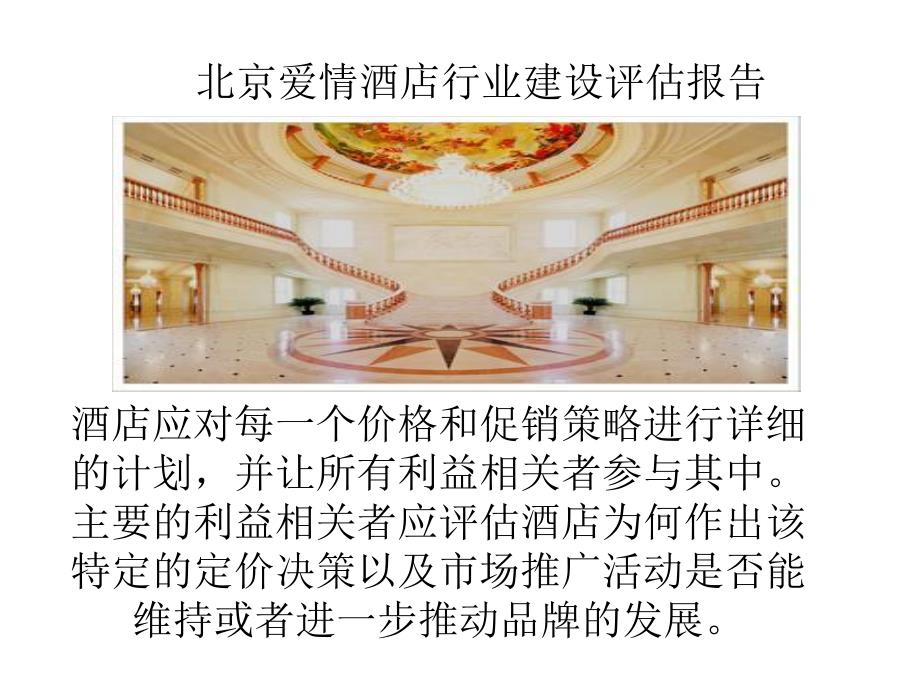 北京爱情酒店行业建设评估报告_第4页