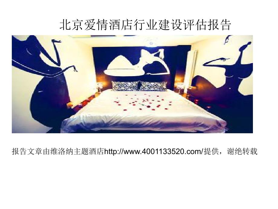 北京爱情酒店行业建设评估报告_第5页