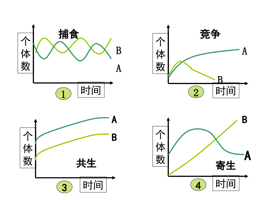 种群的特点及演替_第3页