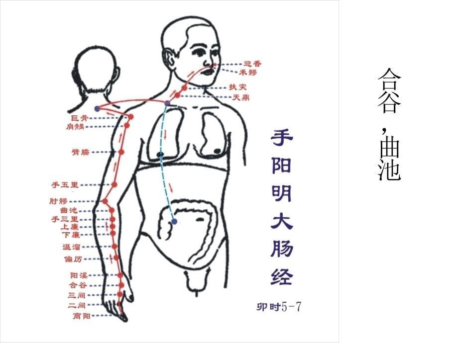 中医针灸推拿学入门_第5页