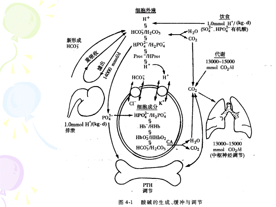 危重病人的酸碱失衡_第4页