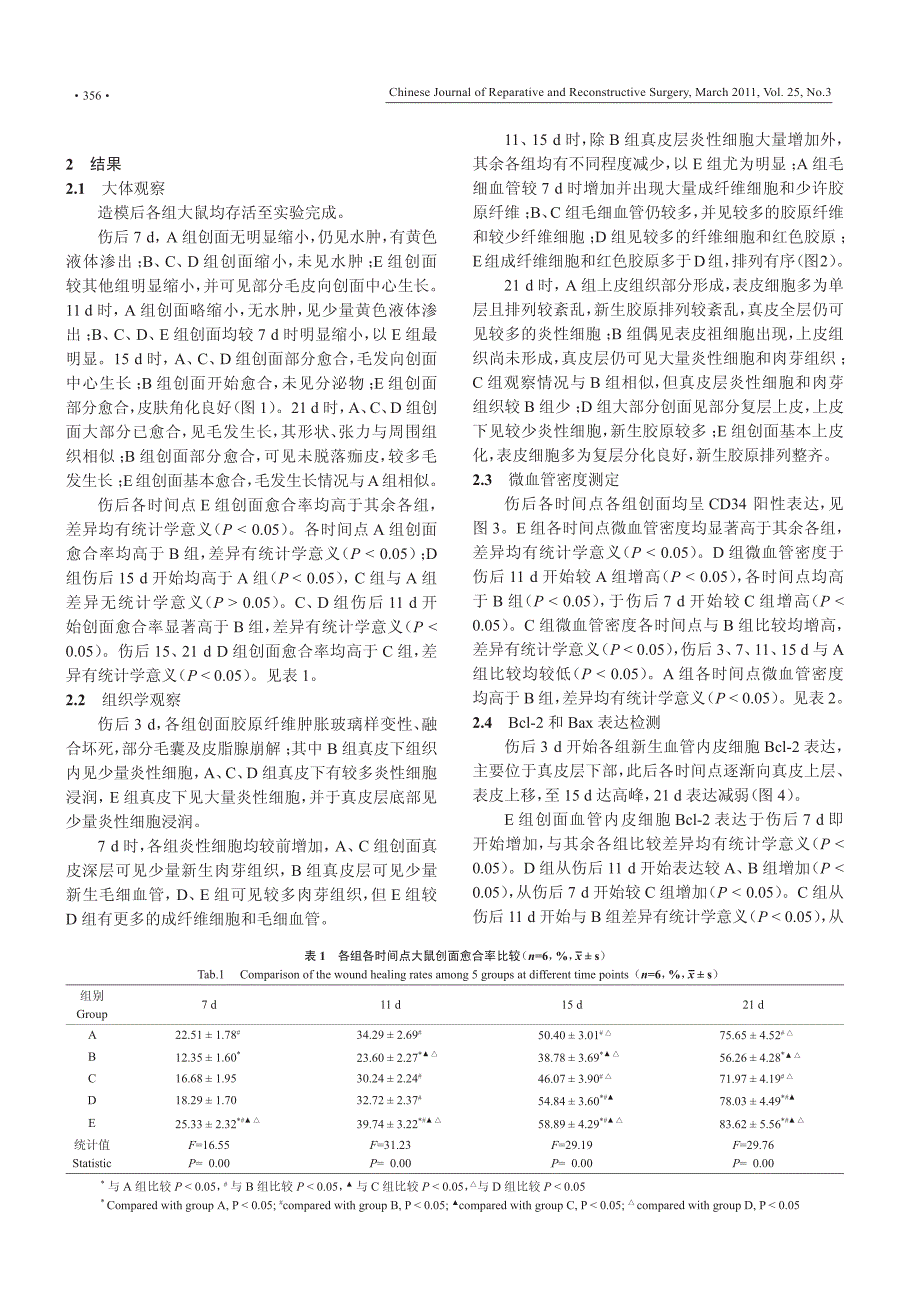 局部联合应用ngf及胰岛素对糖尿病大鼠烫伤创面血管形成_第3页