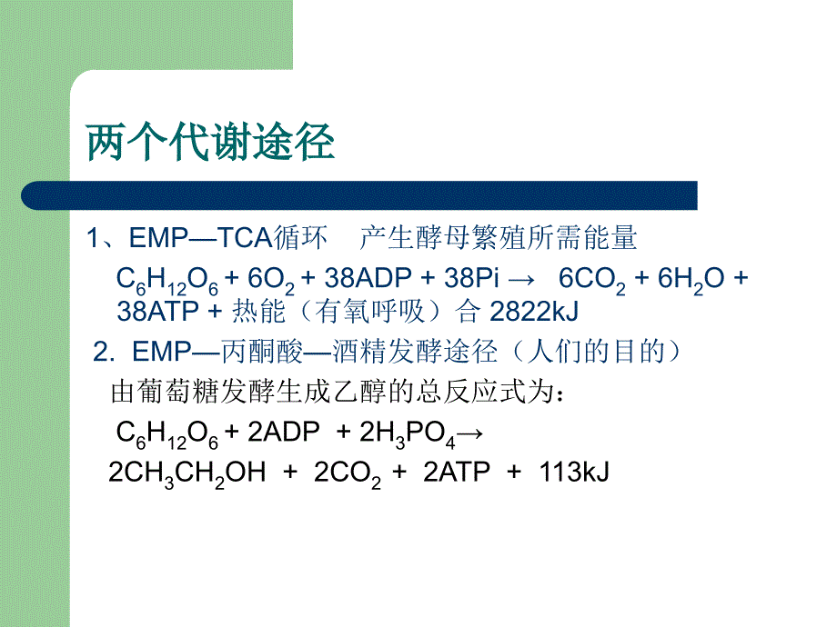 实验五啤酒的发酵_第4页