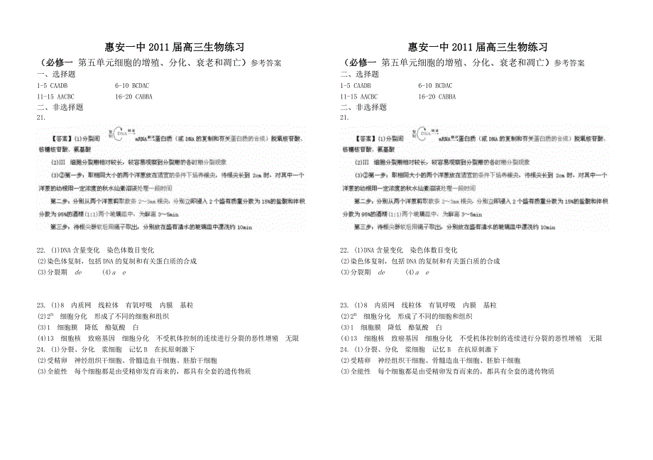 细胞的增殖、分化、衰老和凋亡_第4页