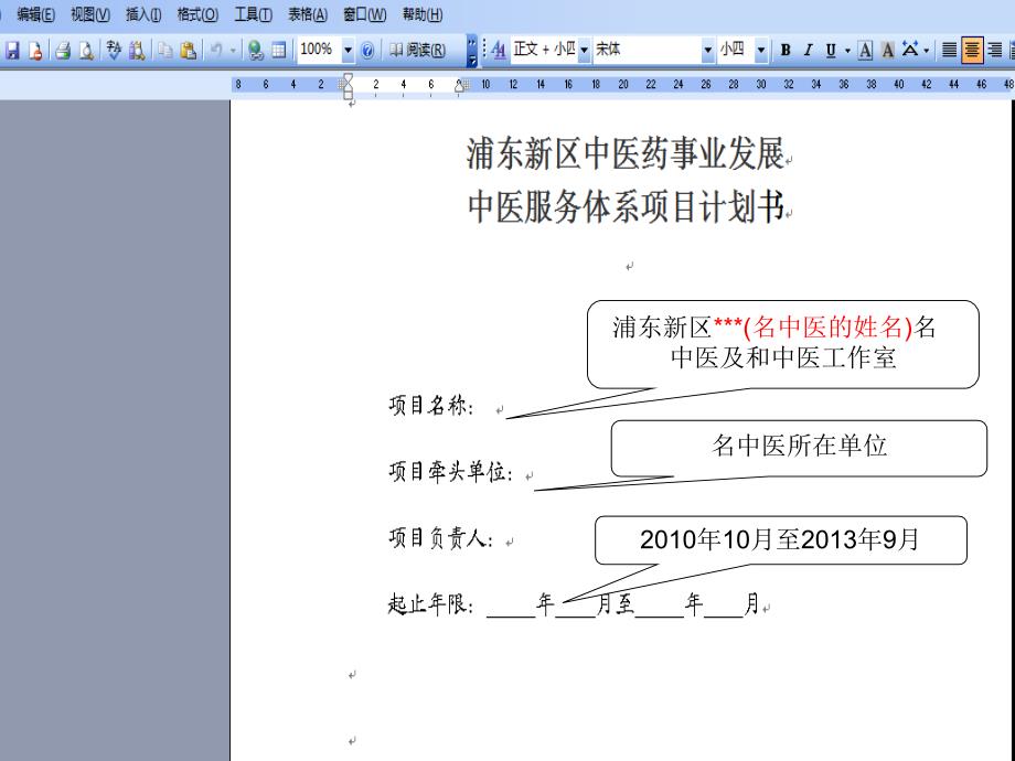 浦东新区名中医项目计划书填写说明_第3页