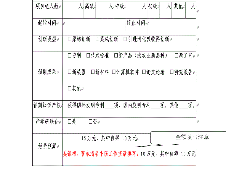 浦东新区名中医项目计划书填写说明_第4页