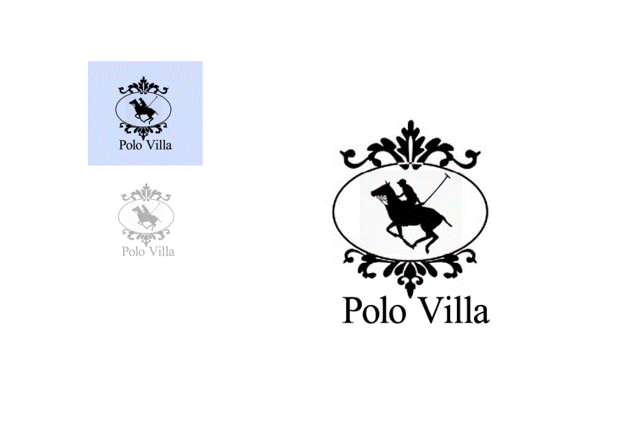 polo villa 品牌_第4页