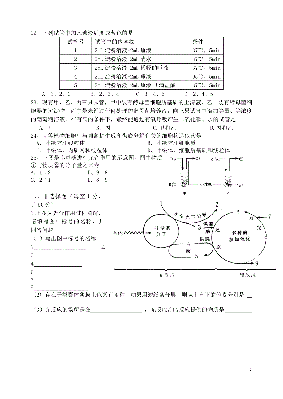 高一必修一期末模考模拟试题_第3页