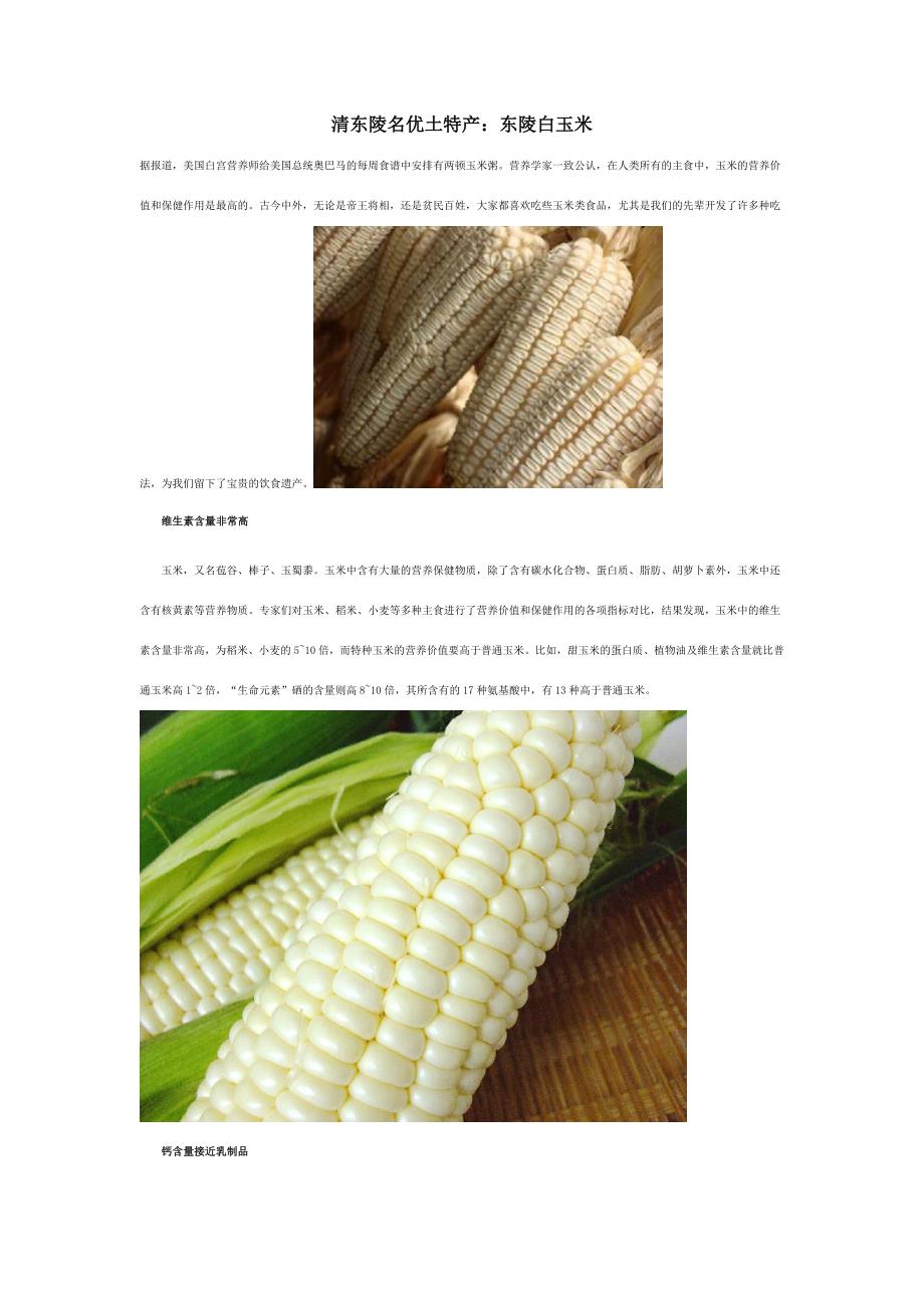清东陵名优土特产-白玉米_第1页