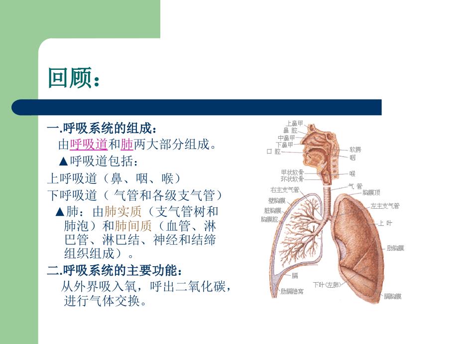 呼吸系统疾病常见症状_第3页