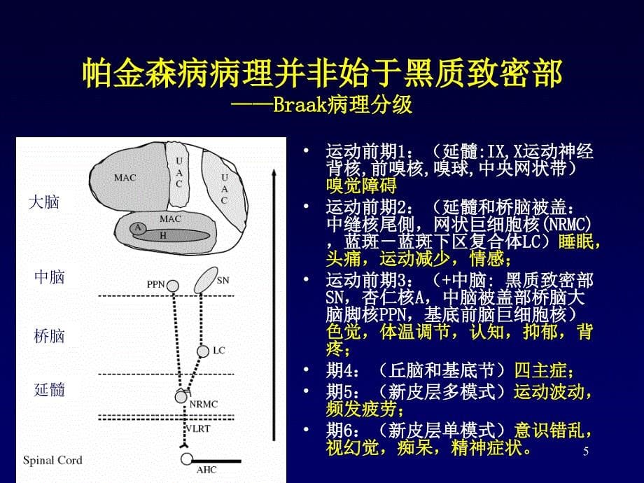 PD诊断治疗_第5页