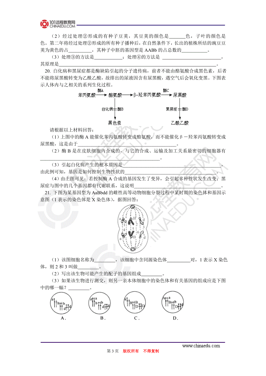 高二生物人教新课标版上学期期末复习试题_第3页